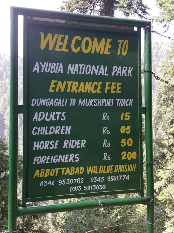 WhatsApp Image 2019-07-04 at 10.38.33