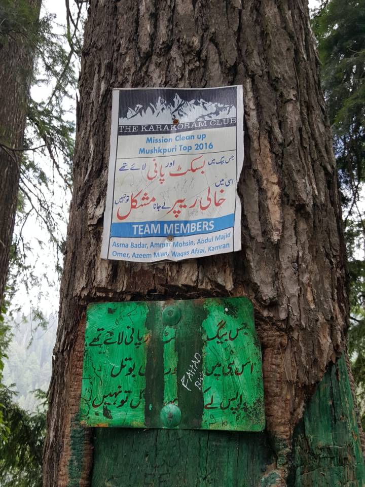 WhatsApp Image 2019-07-04 at 10.38.34(1)