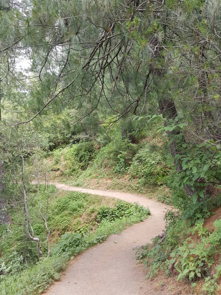 WhatsApp Image 2019-07-04 at 10.38.34(2)